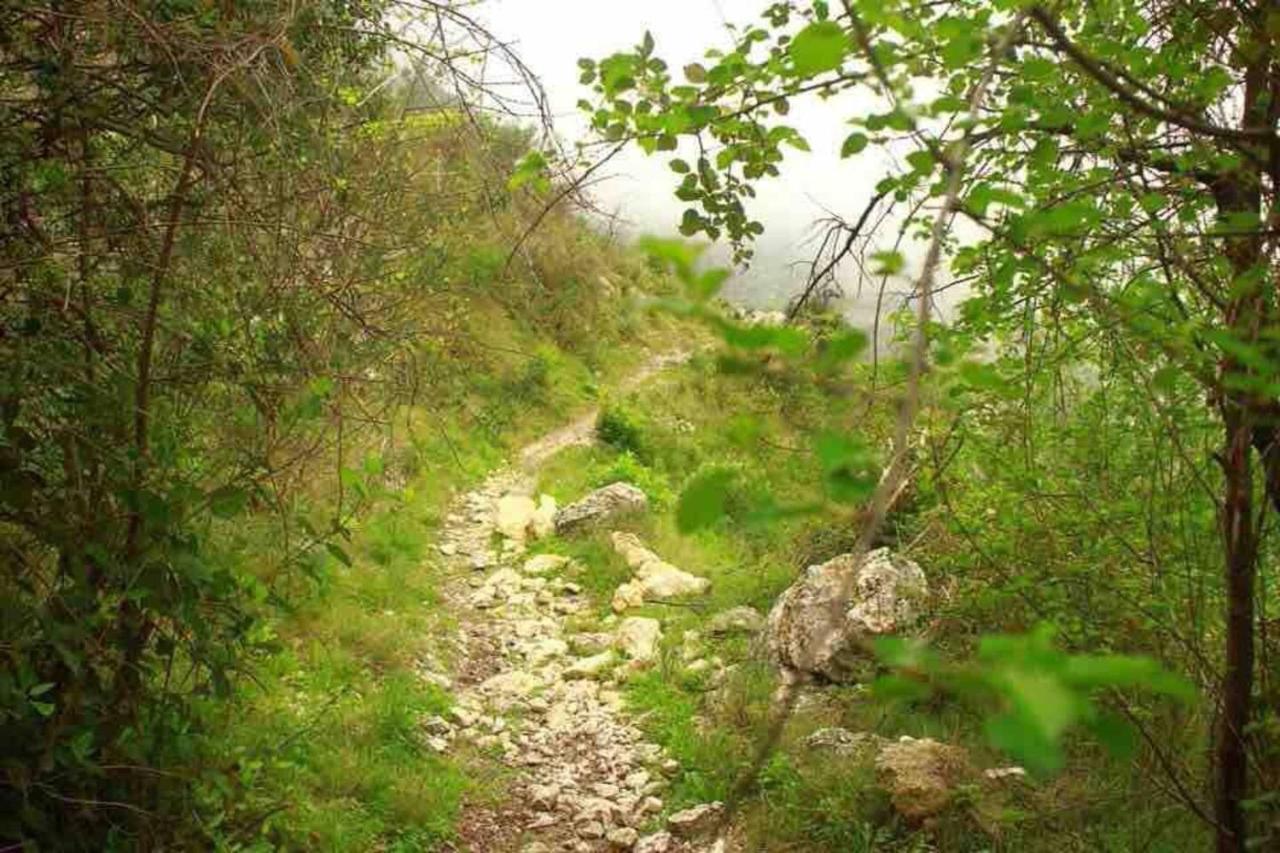 Casa Rural “Ca Robert” Callosa de Ensarriá Εξωτερικό φωτογραφία